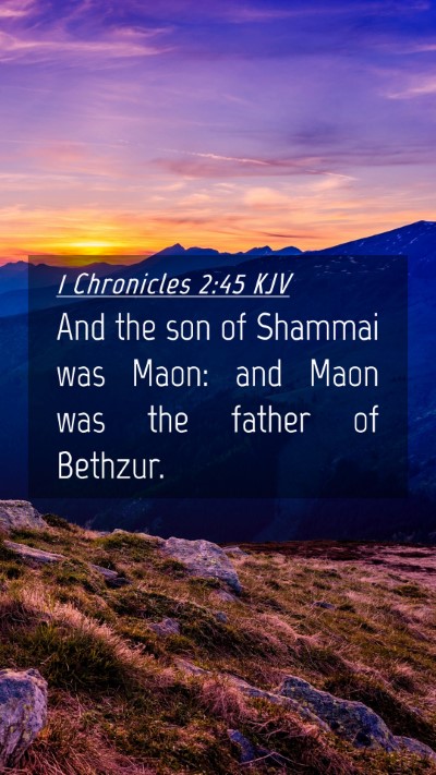 Picture 04 - 1 Chronicles 2:45 KJV Mobile Phone Wallpaper - And the son of Shammai was Maon: and Maon was the - Mobile Bible Verse Wallpaper