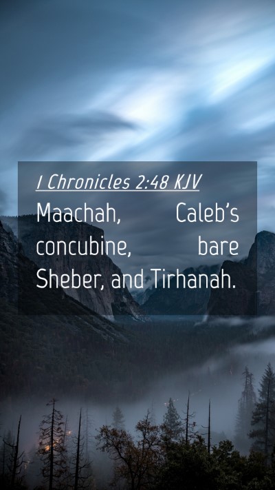 Picture 04 - 1 Chronicles 2:48 KJV Mobile Phone Wallpaper - Maachah, Caleb's concubine, bare Sheber, and - Mobile Bible Verse Wallpaper