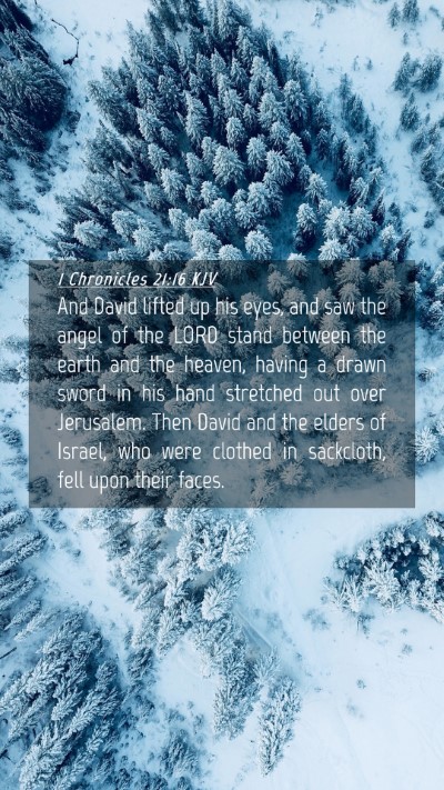 Picture 04 - 1 Chronicles 21:16 KJV Mobile Phone Wallpaper - And David lifted up his eyes, and saw the angel - Mobile Bible Verse Wallpaper
