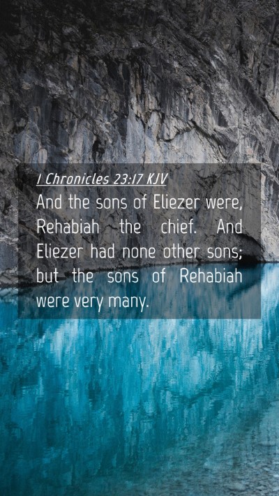 Picture 04 - 1 Chronicles 23:17 KJV Mobile Phone Wallpaper - And the sons of Eliezer were, Rehabiah the chief. - Mobile Bible Verse Wallpaper
