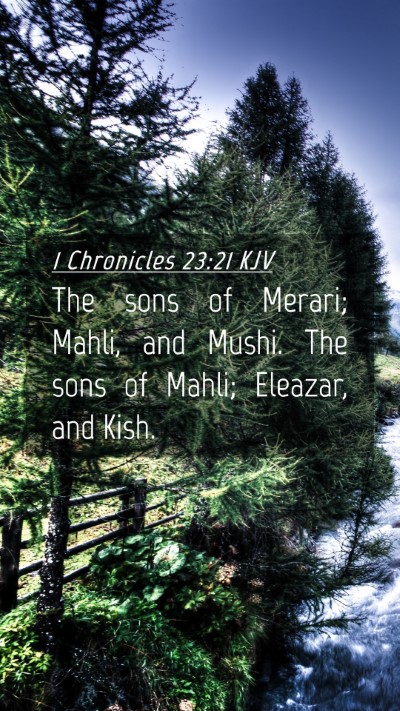 Picture 04 - 1 Chronicles 23:21 KJV Mobile Phone Wallpaper - The sons of Merari; Mahli, and Mushi. The sons of - Mobile Bible Verse Wallpaper