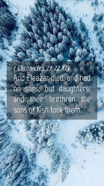 Picture 04 - 1 Chronicles 23:22 KJV Mobile Phone Wallpaper - And Eleazar died, and had no sons, but daughters: - Mobile Bible Verse Wallpaper