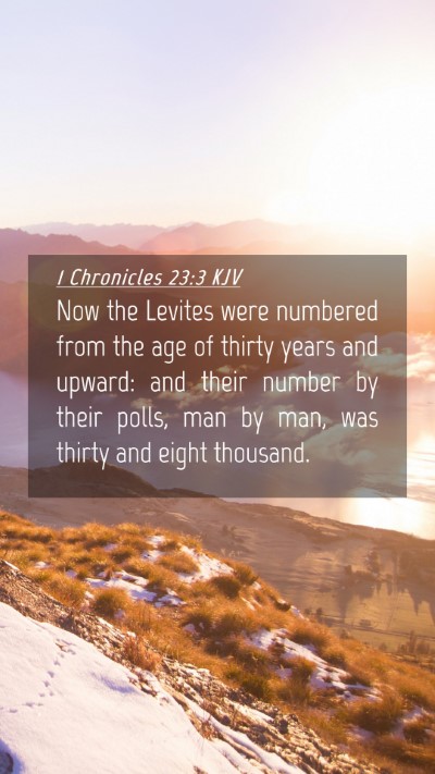 Picture 04 - 1 Chronicles 23:3 KJV Mobile Phone Wallpaper - Now the Levites were numbered from the age of - Mobile Bible Verse Wallpaper