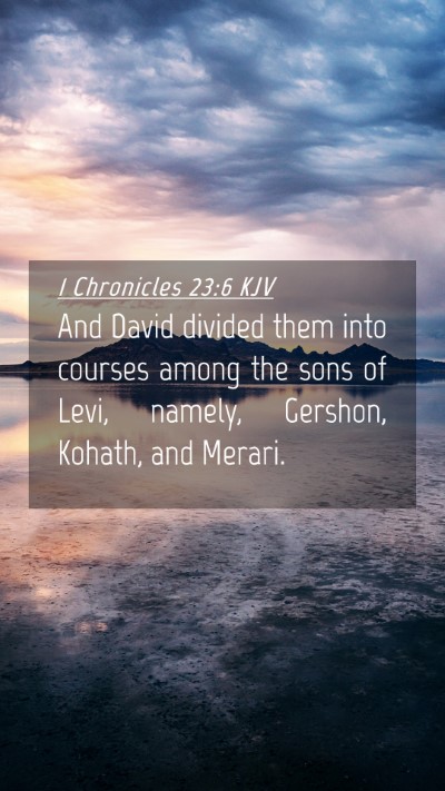 Picture 04 - 1 Chronicles 23:6 KJV Mobile Phone Wallpaper - And David divided them into courses among the - Mobile Bible Verse Wallpaper