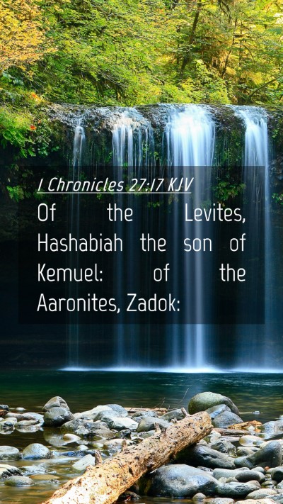 Picture 04 - 1 Chronicles 27:17 KJV Mobile Phone Wallpaper - Of the Levites, Hashabiah the son of Kemuel: of - Mobile Bible Verse Wallpaper