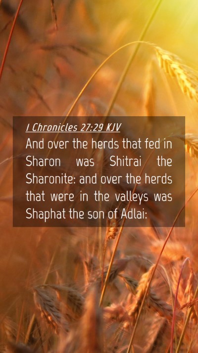 Picture 04 - 1 Chronicles 27:29 KJV Mobile Phone Wallpaper - And over the herds that fed in Sharon was Shitrai - Mobile Bible Verse Wallpaper