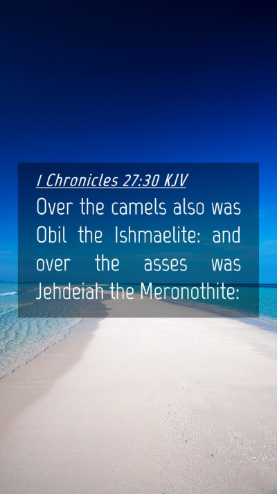 Picture 04 - 1 Chronicles 27:30 KJV Mobile Phone Wallpaper - Over the camels also was Obil the Ishmaelite: and - Mobile Bible Verse Wallpaper