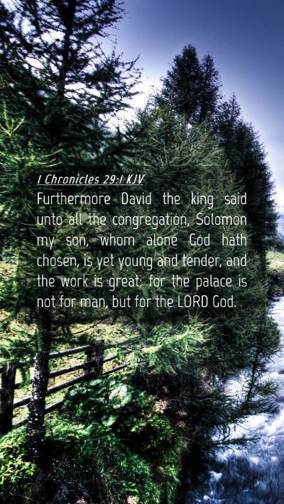 Picture 04 - 1 Chronicles 29:1 KJV Mobile Phone Wallpaper - Furthermore David the king said unto all the - Mobile Bible Verse Wallpaper