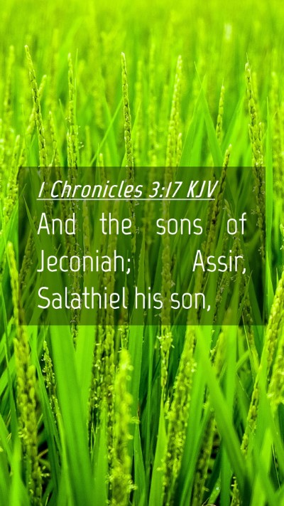 Picture 04 - 1 Chronicles 3:17 KJV Mobile Phone Wallpaper - And the sons of Jeconiah; Assir, Salathiel his - Mobile Bible Verse Wallpaper