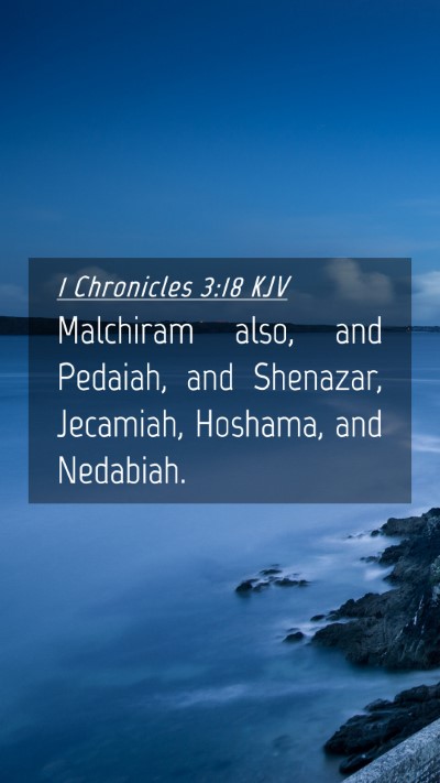Picture 04 - 1 Chronicles 3:18 KJV Mobile Phone Wallpaper - Malchiram also, and Pedaiah, and Shenazar, - Mobile Bible Verse Wallpaper