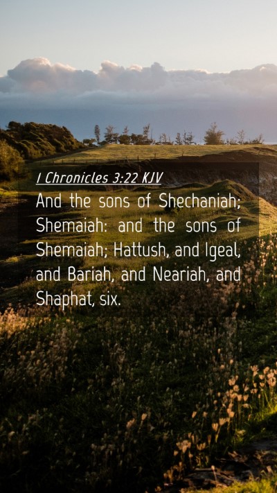 Picture 04 - 1 Chronicles 3:22 KJV Mobile Phone Wallpaper - And the sons of Shechaniah; Shemaiah: and the - Mobile Bible Verse Wallpaper