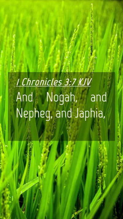 Picture 04 - 1 Chronicles 3:7 KJV Mobile Phone Wallpaper - And Nogah, and Nepheg, and - Mobile Bible Verse Wallpaper