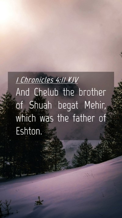 Picture 04 - 1 Chronicles 4:11 KJV Mobile Phone Wallpaper - And Chelub the brother of Shuah begat Mehir, - Mobile Bible Verse Wallpaper