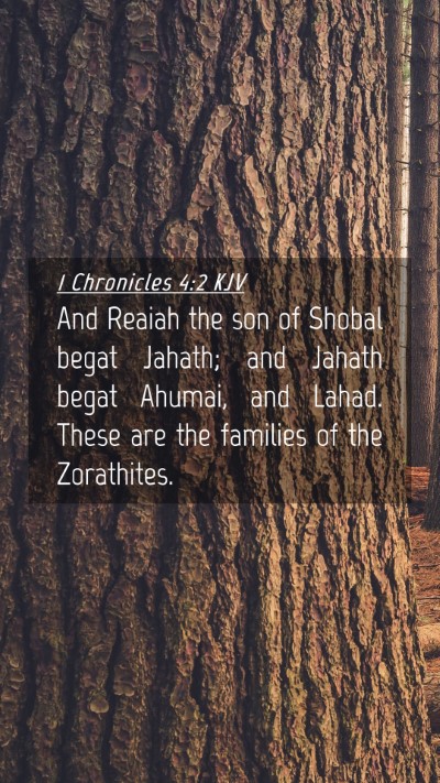 Picture 04 - 1 Chronicles 4:2 KJV Mobile Phone Wallpaper - And Reaiah the son of Shobal begat Jahath; and - Mobile Bible Verse Wallpaper
