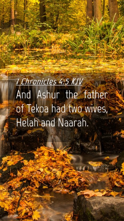 Picture 04 - 1 Chronicles 4:5 KJV Mobile Phone Wallpaper - And Ashur the father of Tekoa had two wives, - Mobile Bible Verse Wallpaper