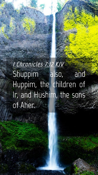 Picture 04 - 1 Chronicles 7:12 KJV Mobile Phone Wallpaper - Shuppim also, and Huppim, the children of Ir, and - Mobile Bible Verse Wallpaper