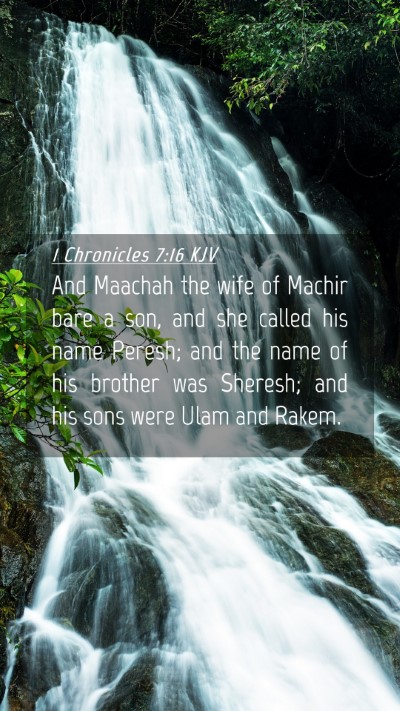 Picture 04 - 1 Chronicles 7:16 KJV Mobile Phone Wallpaper - And Maachah the wife of Machir bare a son, and - Mobile Bible Verse Wallpaper