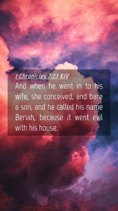 Picture 04 - 1 Chronicles 7:23 KJV Mobile Phone Wallpaper - And when he went in to his wife, she conceived, - Mobile Bible Verse Wallpaper