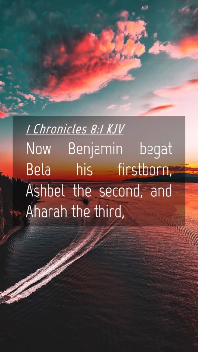 Picture 04 - 1 Chronicles 8:1 KJV Mobile Phone Wallpaper - Now Benjamin begat Bela his firstborn, Ashbel the - Mobile Bible Verse Wallpaper