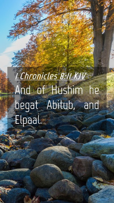 Picture 04 - 1 Chronicles 8:11 KJV Mobile Phone Wallpaper - And of Hushim he begat Abitub, and - Mobile Bible Verse Wallpaper