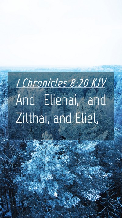Picture 04 - 1 Chronicles 8:20 KJV Mobile Phone Wallpaper - And Elienai, and Zilthai, and - Mobile Bible Verse Wallpaper