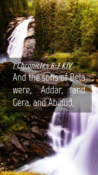 Picture 04 - 1 Chronicles 8:3 KJV Mobile Phone Wallpaper - And the sons of Bela were, Addar, and Gera, and - Mobile Bible Verse Wallpaper