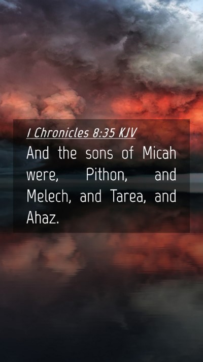 Picture 04 - 1 Chronicles 8:35 KJV Mobile Phone Wallpaper - And the sons of Micah were, Pithon, and Melech, - Mobile Bible Verse Wallpaper