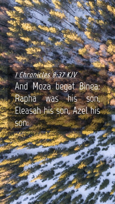 Picture 04 - 1 Chronicles 8:37 KJV Mobile Phone Wallpaper - And Moza begat Binea: Rapha was his son, Eleasah - Mobile Bible Verse Wallpaper