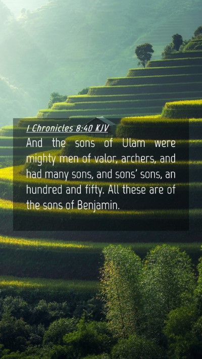 Picture 04 - 1 Chronicles 8:40 KJV Mobile Phone Wallpaper - And the sons of Ulam were mighty men of valor, - Mobile Bible Verse Wallpaper