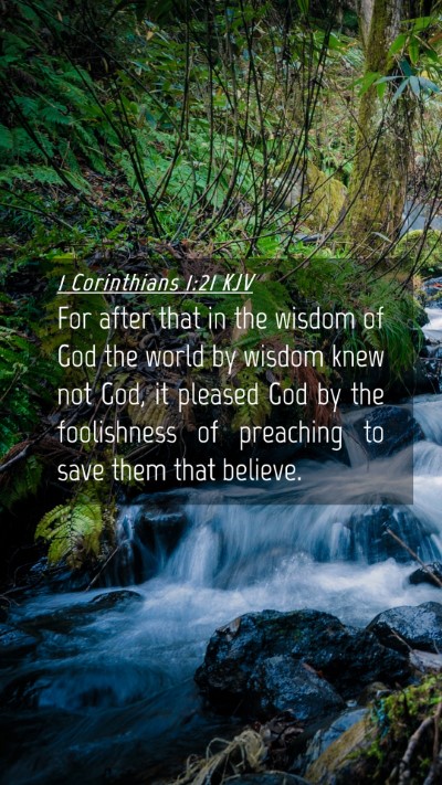 Picture 04 - 1 Corinthians 1:21 KJV Mobile Phone Wallpaper - For after that in the wisdom of God the world by - Mobile Bible Verse Wallpaper