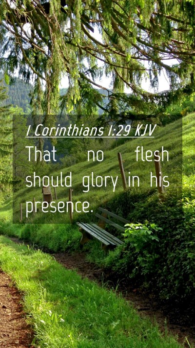 Picture 04 - 1 Corinthians 1:29 KJV Mobile Phone Wallpaper - That no flesh should glory in his - Mobile Bible Verse Wallpaper