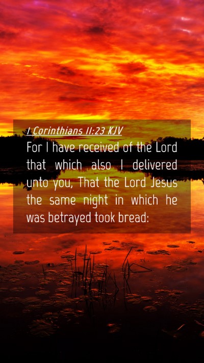 Picture 04 - 1 Corinthians 11:23 KJV Mobile Phone Wallpaper - For I have received of the Lord that which also I - Mobile Bible Verse Wallpaper