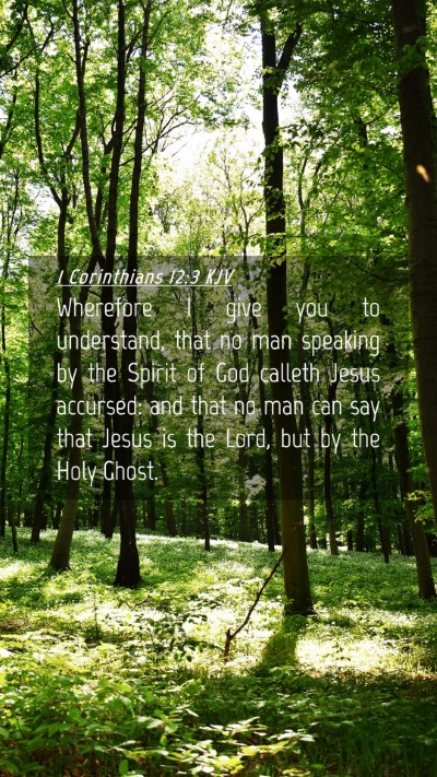 Picture 04 - 1 Corinthians 12:3 KJV Mobile Phone Wallpaper - Wherefore I give you to understand, that no man - Mobile Bible Verse Wallpaper