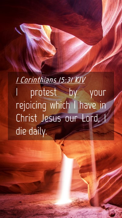 Picture 04 - 1 Corinthians 15:31 KJV Mobile Phone Wallpaper - I protest by your rejoicing which I have in - Mobile Bible Verse Wallpaper