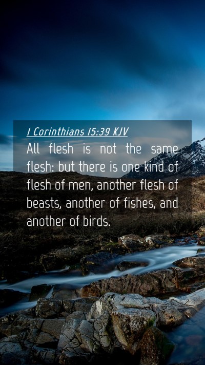 Picture 04 - 1 Corinthians 15:39 KJV Mobile Phone Wallpaper - All flesh is not the same flesh: but there is one - Mobile Bible Verse Wallpaper