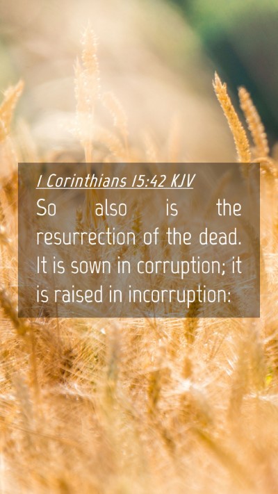 Picture 04 - 1 Corinthians 15:42 KJV Mobile Phone Wallpaper - So also is the resurrection of the dead. It is - Mobile Bible Verse Wallpaper
