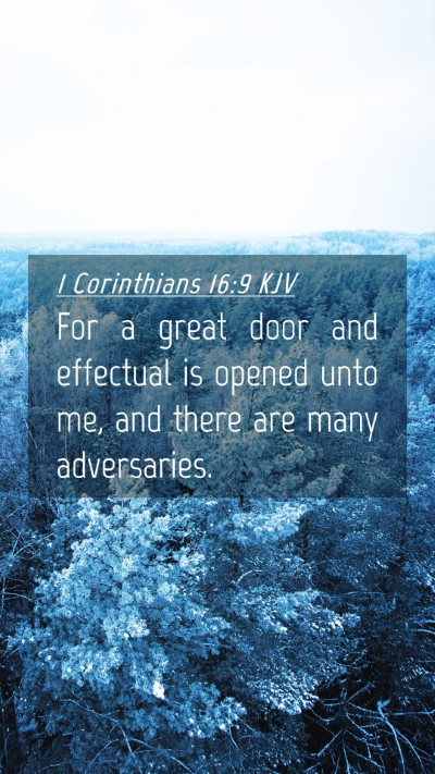 Picture 04 - 1 Corinthians 16:9 KJV Mobile Phone Wallpaper - For a great door and effectual is opened unto me, - Mobile Bible Verse Wallpaper