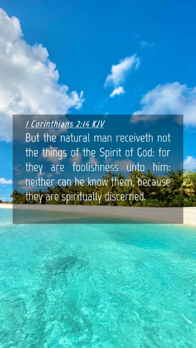 Picture 04 - 1 Corinthians 2:14 KJV Mobile Phone Wallpaper - But the natural man receiveth not the things of - Mobile Bible Verse Wallpaper