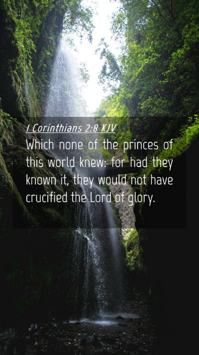 Picture 04 - 1 Corinthians 2:8 KJV Mobile Phone Wallpaper - Which none of the princes of this world knew: for - Mobile Bible Verse Wallpaper