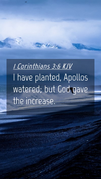 Picture 04 - 1 Corinthians 3:6 KJV Mobile Phone Wallpaper - I have planted, Apollos watered; but God gave the - Mobile Bible Verse Wallpaper