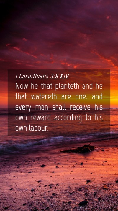 Picture 04 - 1 Corinthians 3:8 KJV Mobile Phone Wallpaper - Now he that planteth and he that watereth are - Mobile Bible Verse Wallpaper