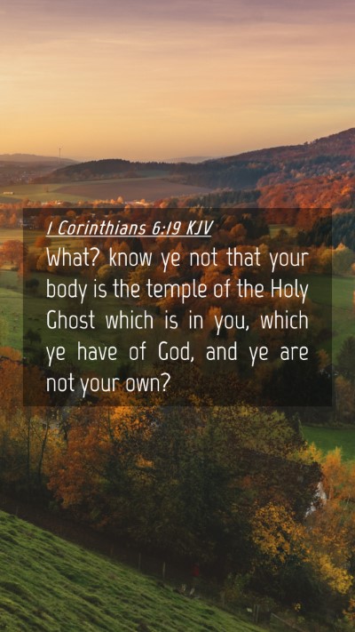 Picture 04 - 1 Corinthians 6:19 KJV Mobile Phone Wallpaper - What? know ye not that your body is the temple of - Mobile Bible Verse Wallpaper