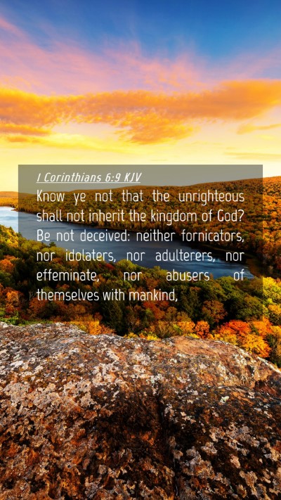 Picture 04 - 1 Corinthians 6:9 KJV Mobile Phone Wallpaper - Know ye not that the unrighteous shall not - Mobile Bible Verse Wallpaper
