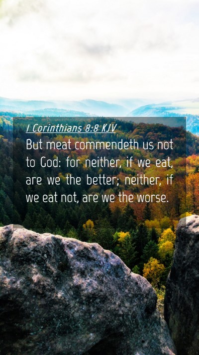 Picture 04 - 1 Corinthians 8:8 KJV Mobile Phone Wallpaper - But meat commendeth us not to God: for neither, - Mobile Bible Verse Wallpaper