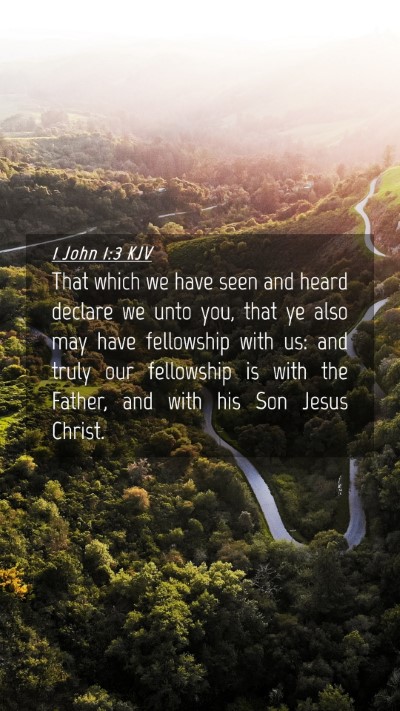 Picture 04 - 1 John 1:3 KJV Mobile Phone Wallpaper - That which we have seen and heard declare we unto - Mobile Bible Verse Wallpaper