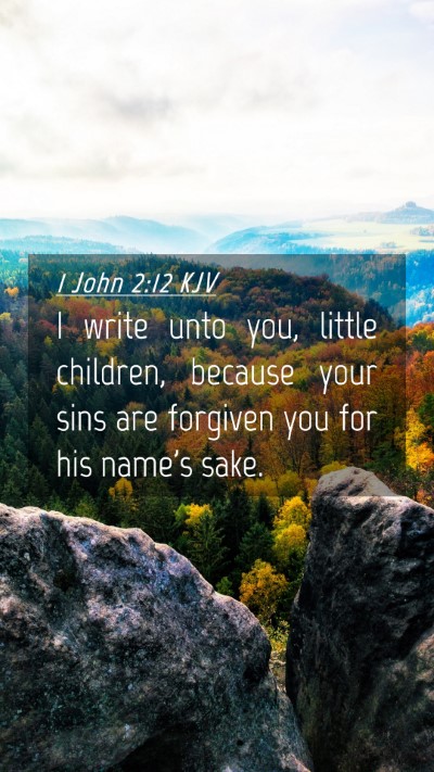 Picture 04 - 1 John 2:12 KJV Mobile Phone Wallpaper - I write unto you, little children, because your - Mobile Bible Verse Wallpaper