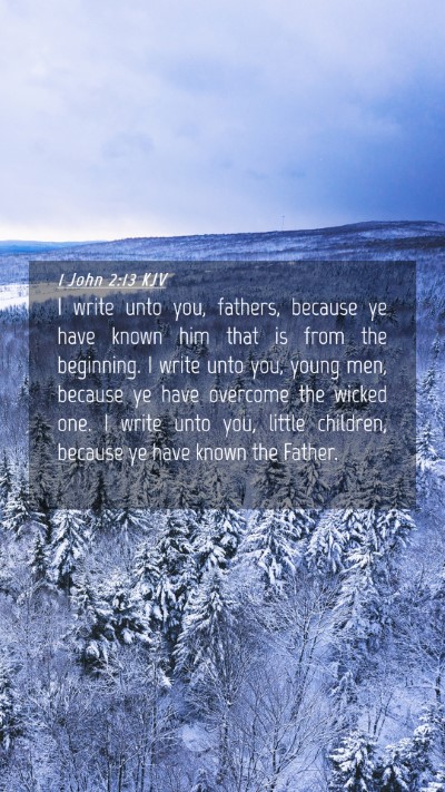 Picture 04 - 1 John 2:13 KJV Mobile Phone Wallpaper - I write unto you, fathers, because ye have known - Mobile Bible Verse Wallpaper