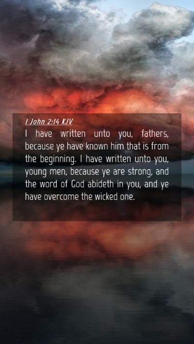 Picture 04 - 1 John 2:14 KJV Mobile Phone Wallpaper - I have written unto you, fathers, because ye have - Mobile Bible Verse Wallpaper