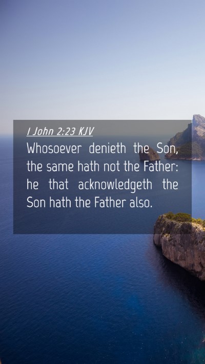 Picture 04 - 1 John 2:23 KJV Mobile Phone Wallpaper - Whosoever denieth the Son, the same hath not the - Mobile Bible Verse Wallpaper