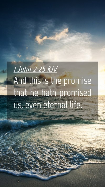 Picture 04 - 1 John 2:25 KJV Mobile Phone Wallpaper - And this is the promise that he hath promised us, - Mobile Bible Verse Wallpaper